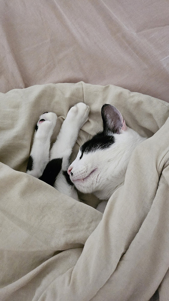 1년 만이네요! 의 썸네일 이미지