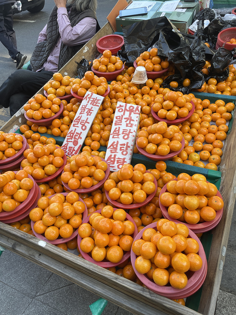🛬어서 와, 한국 여행은 처음이지의 썸네일 이미지