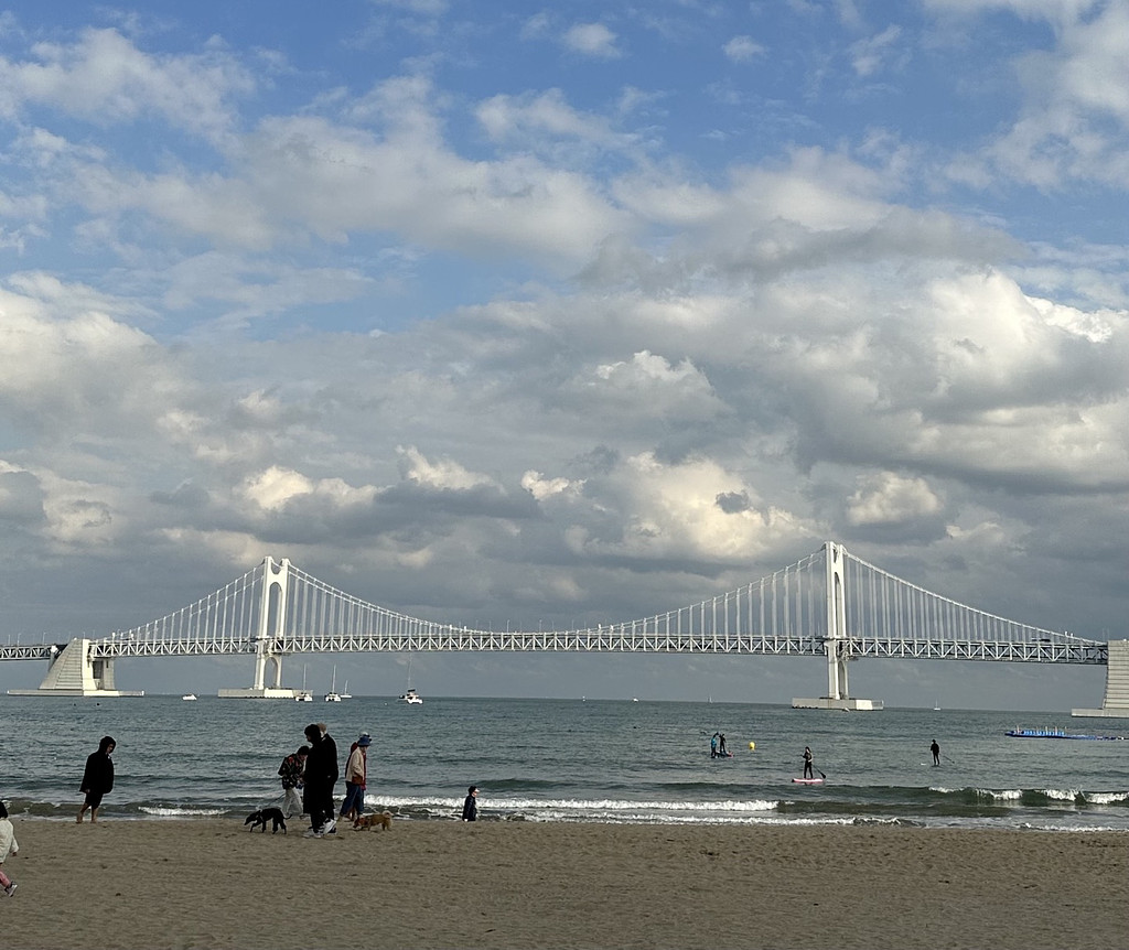 [뉴숩레터 #10+11] 한숨의 모양이 보이는 계절의 썸네일 이미지