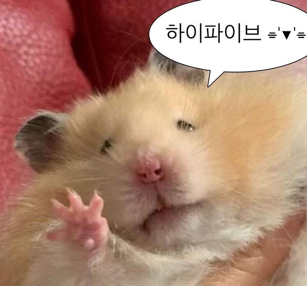 [주간호]🧪직장인이 회사에서 보람을 느끼는 순간은?의 썸네일 이미지