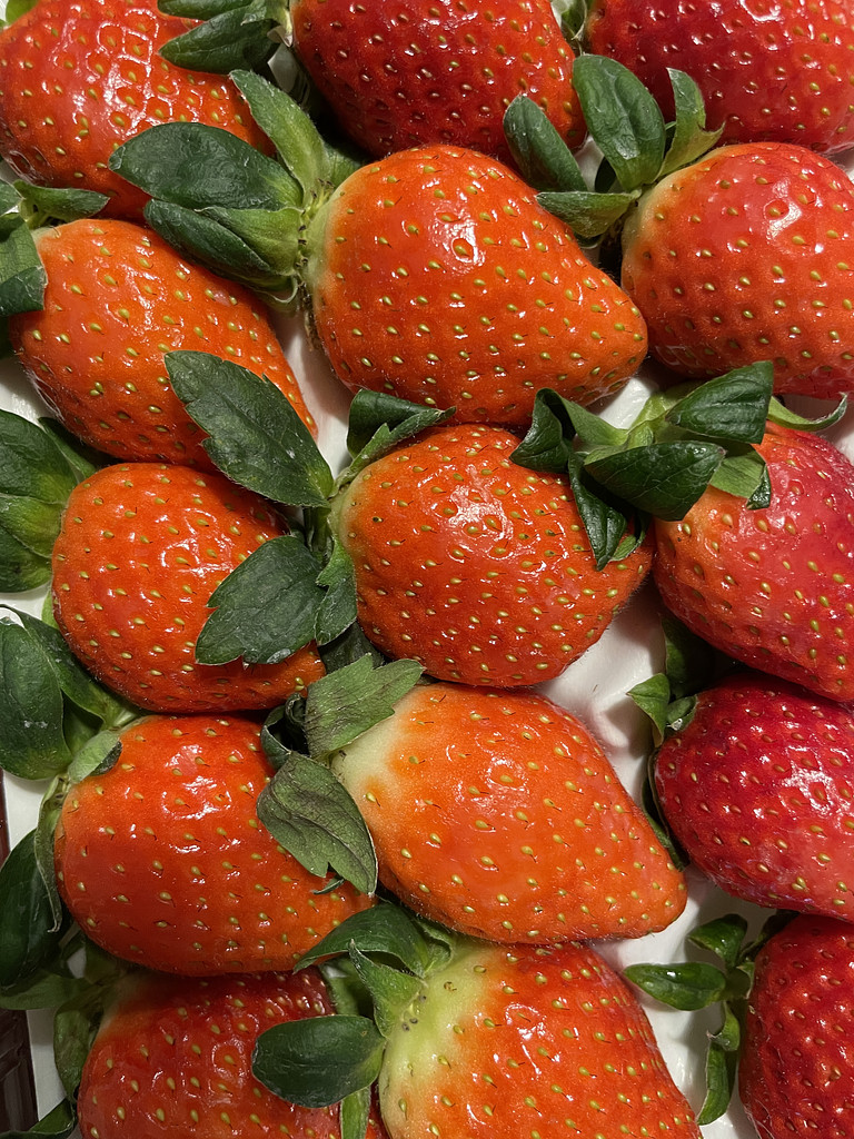 🚶‍♀️누워서 세계 속으로의 썸네일 이미지