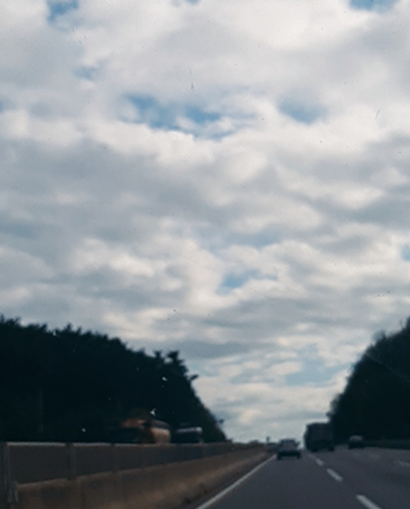 엉덩이 힘이 좋은 나의 직업의 썸네일 이미지