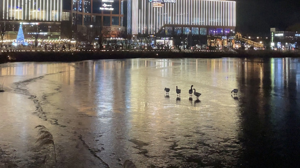 🪄어떤 상상은 현실이 된다의 썸네일 이미지