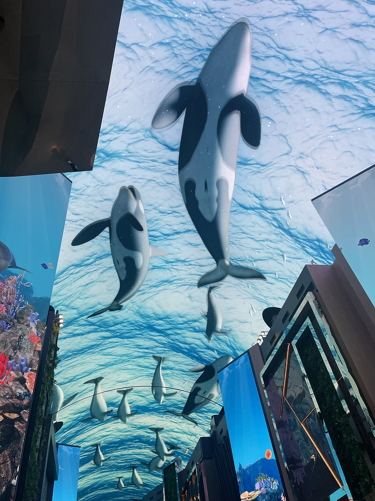 [12월 4주차 세모] 인스파이어 방문기, '괴물', 그리고 무라카미 하루키의 썸네일 이미지