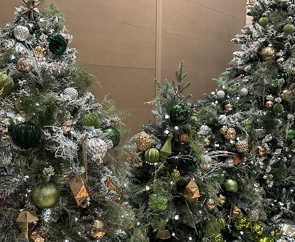 [뉴숩레터 #12] 당신의 2023년은 어땠나요?의 썸네일 이미지