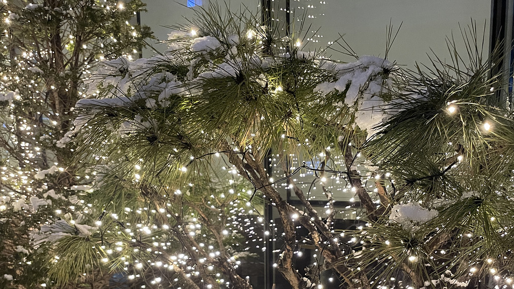 🕰️마치 아는 것 같아, 상대성 이론의 썸네일 이미지