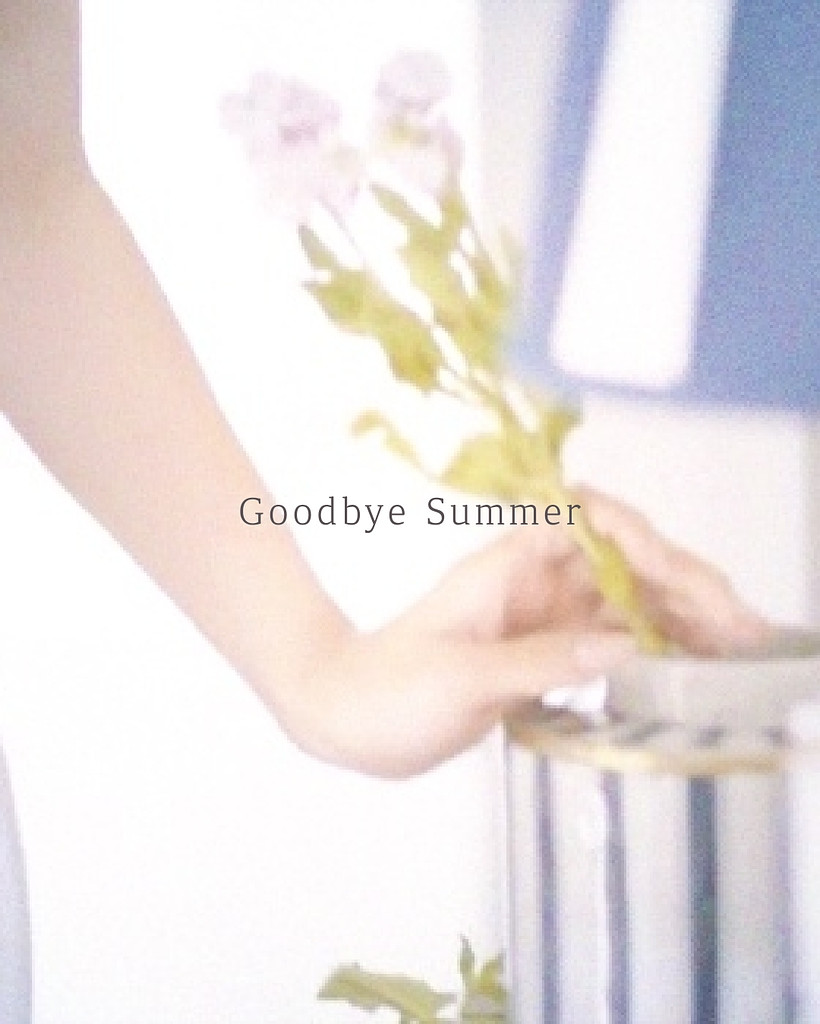 Goodbye Summer의 썸네일 이미지