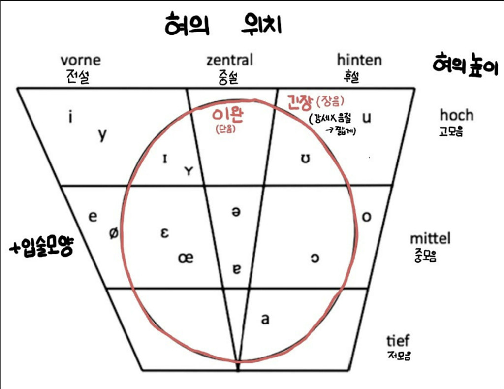 🧸메리보🧸의 썸네일 이미지