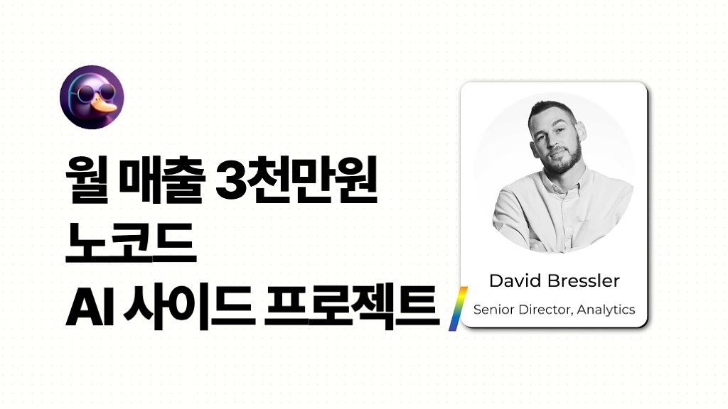 📊 비개발자가 개발한 월매출 3천만원 AI 데이터 분석 플랫폼의 썸네일 이미지