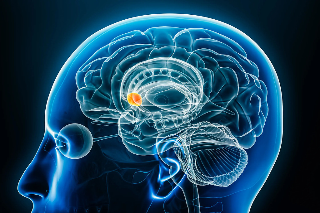 🧠당신은 도파민에 속고 있습니다.의 썸네일 이미지