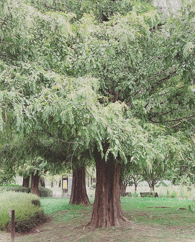 초록을 기다려요의 썸네일 이미지