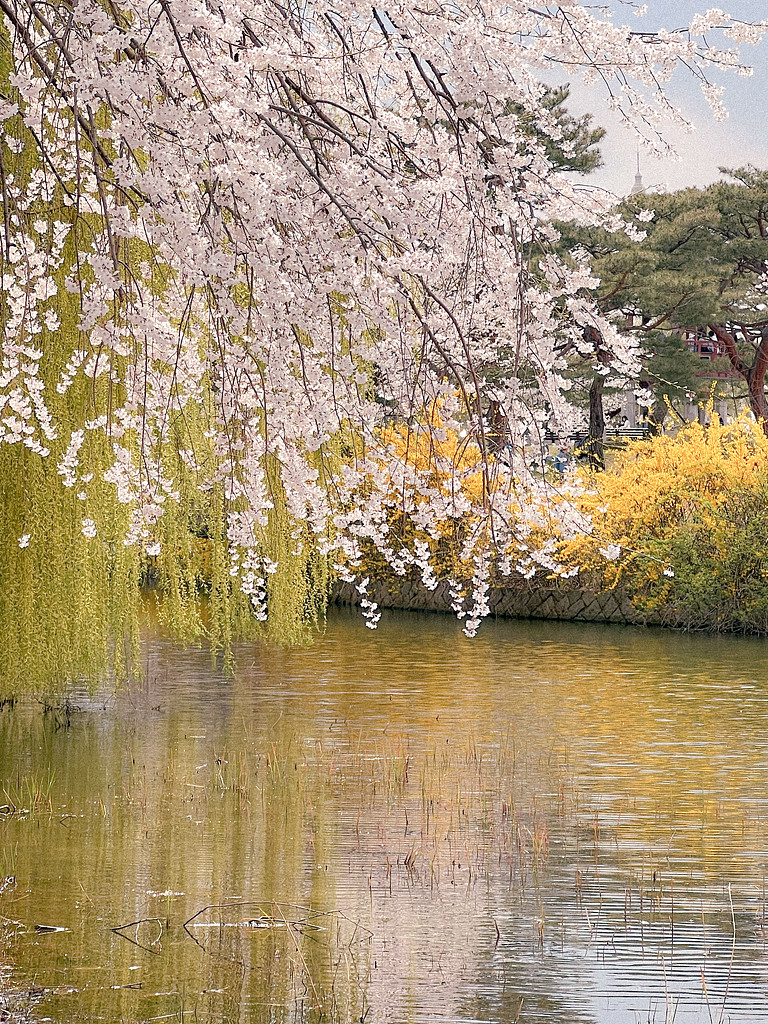 균형의 썸네일 이미지