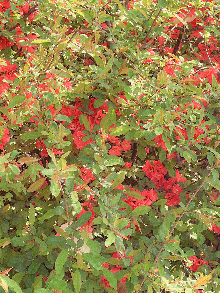 봄봄봄🌸의 썸네일 이미지