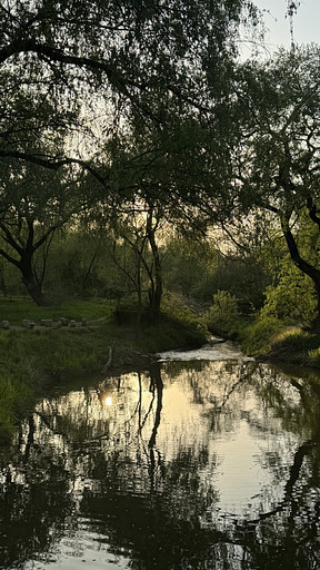 설의 프로필 이미지