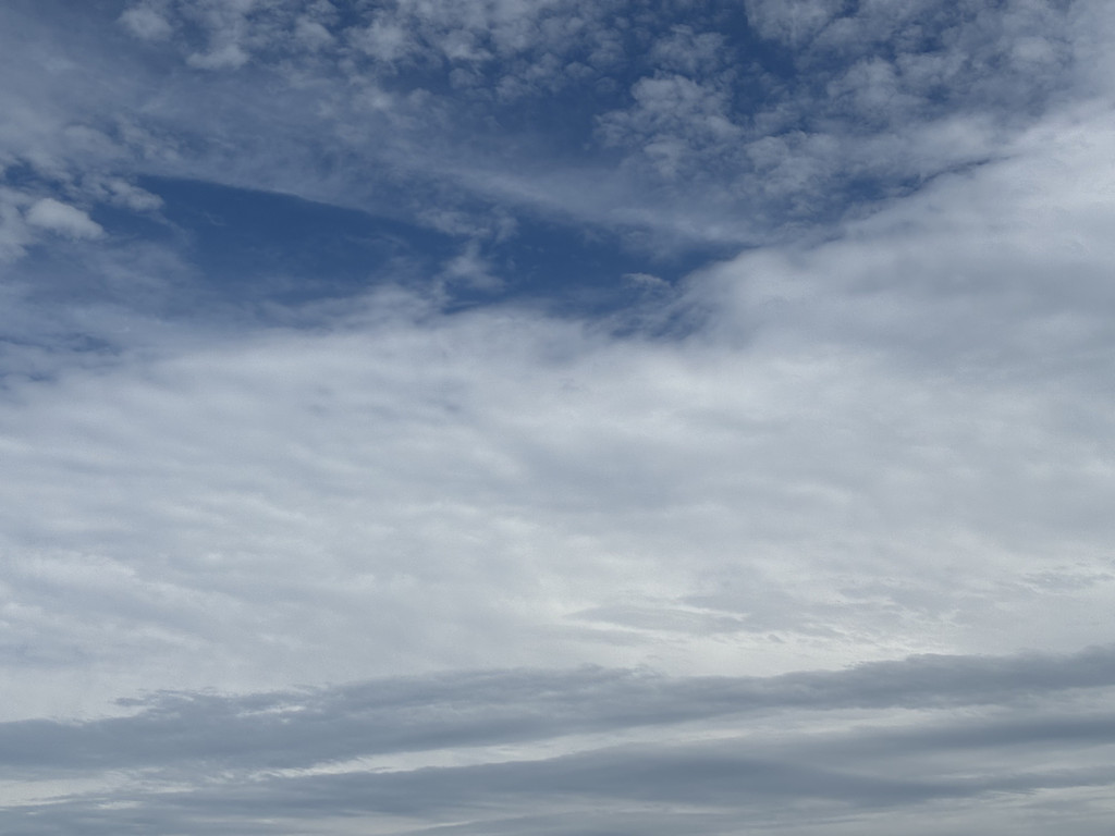 마음을 쓰는 이유의 썸네일 이미지