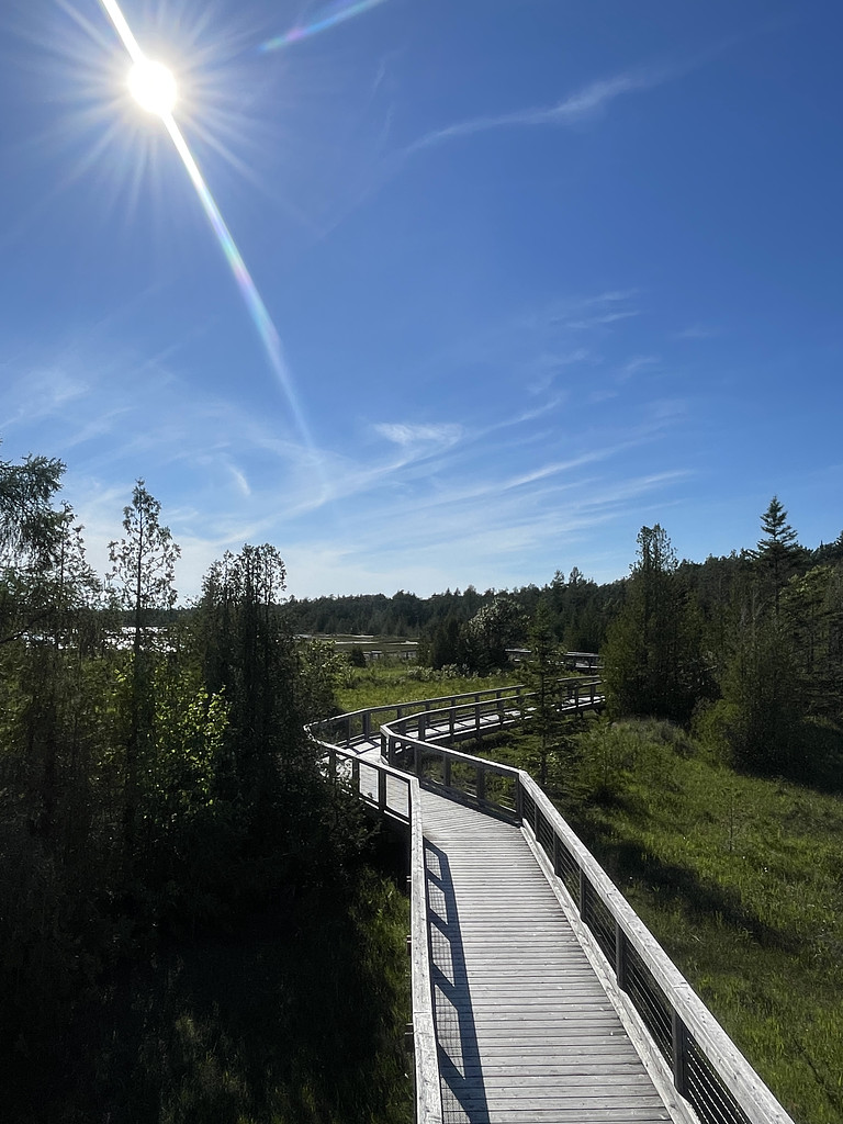 🎧 직장인은 아닙니다만의 썸네일 이미지