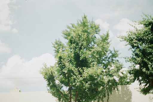 점몽의 프로필 이미지