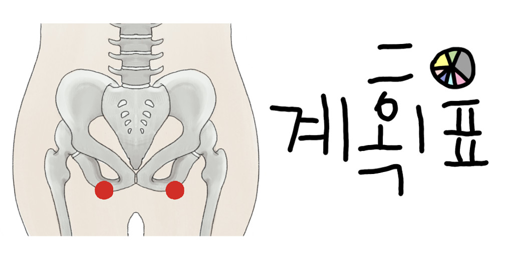 [#133] 골반으로 걷고, 골반으로 앉자!의 썸네일 이미지