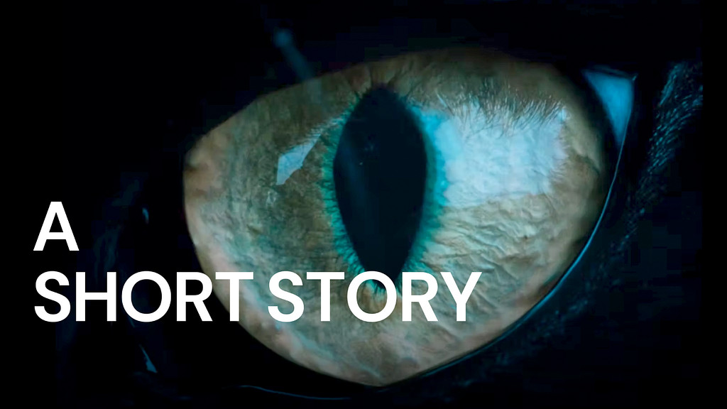 검은 고양이의 기묘한 모험 🐈‍⬛의 썸네일 이미지