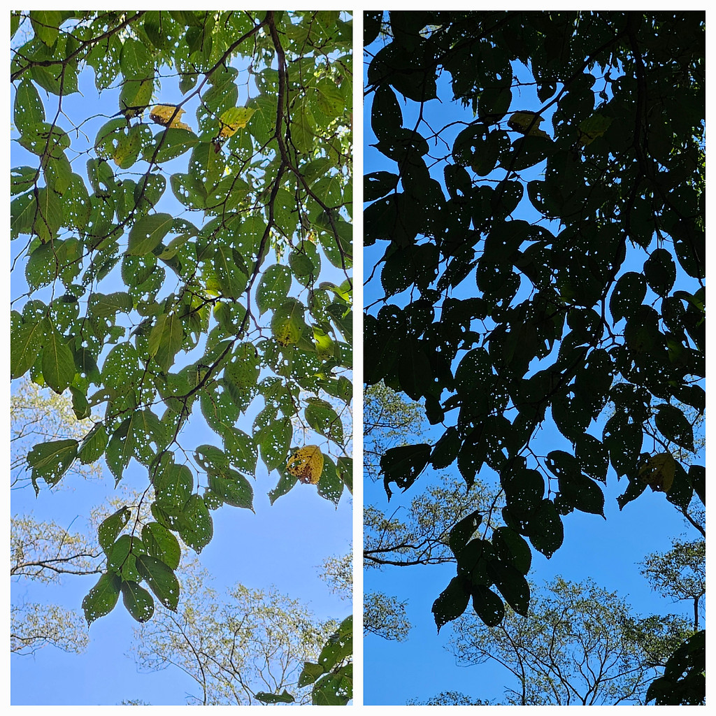 65. 밥벌이의 흔적의 썸네일 이미지