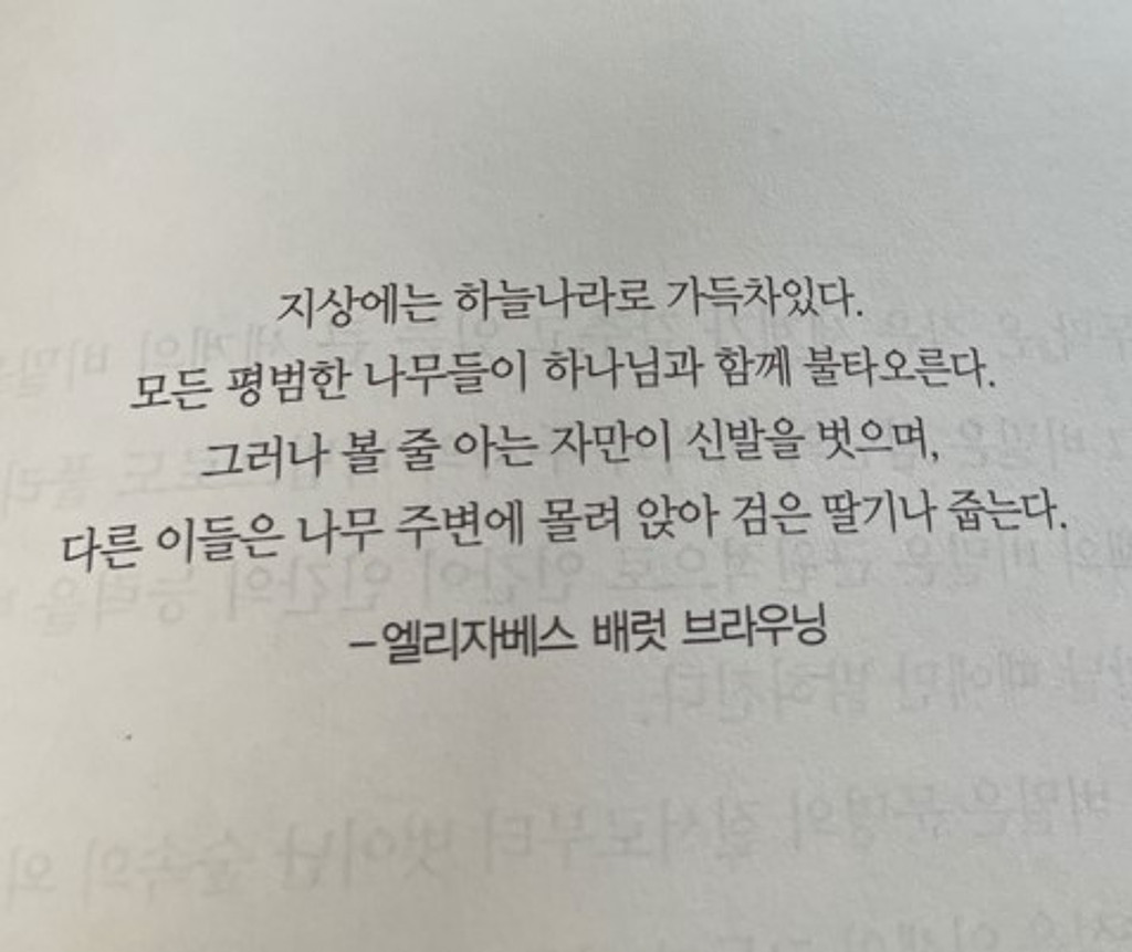 성경 이야기_월요의 썸네일 이미지