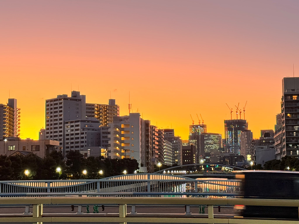 행복은 무엇으로부터 오는가?의 썸네일 이미지