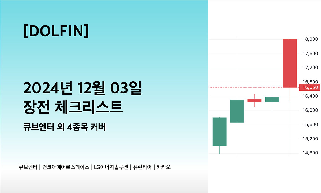 🐬[DOLFIN] 12월 03일 장전 체크리스트의 썸네일 이미지