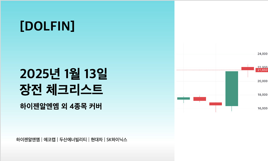 🐬[DOLFIN] 1월 13일 장전 체크리스트의 썸네일 이미지
