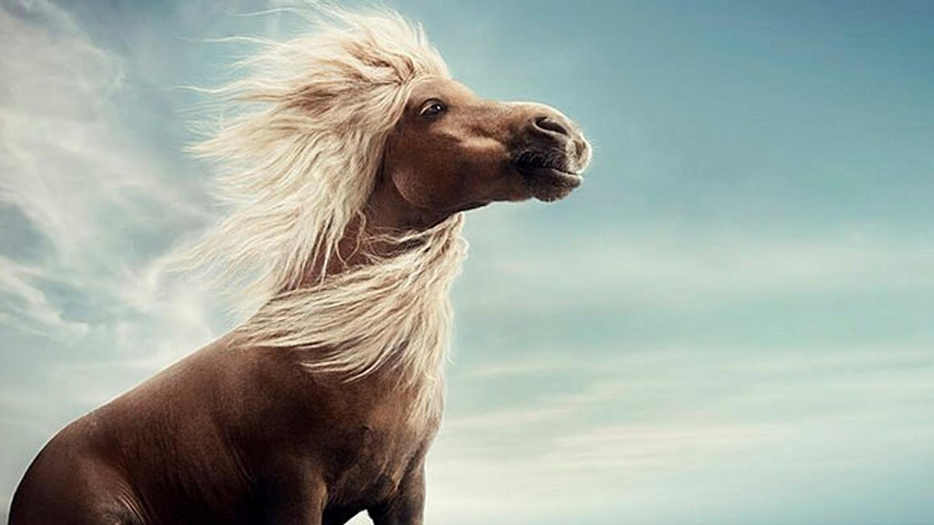 [위클리스웨덴] 6월 둘째주, 여름을 알리는 뉴스레터!의 썸네일 이미지