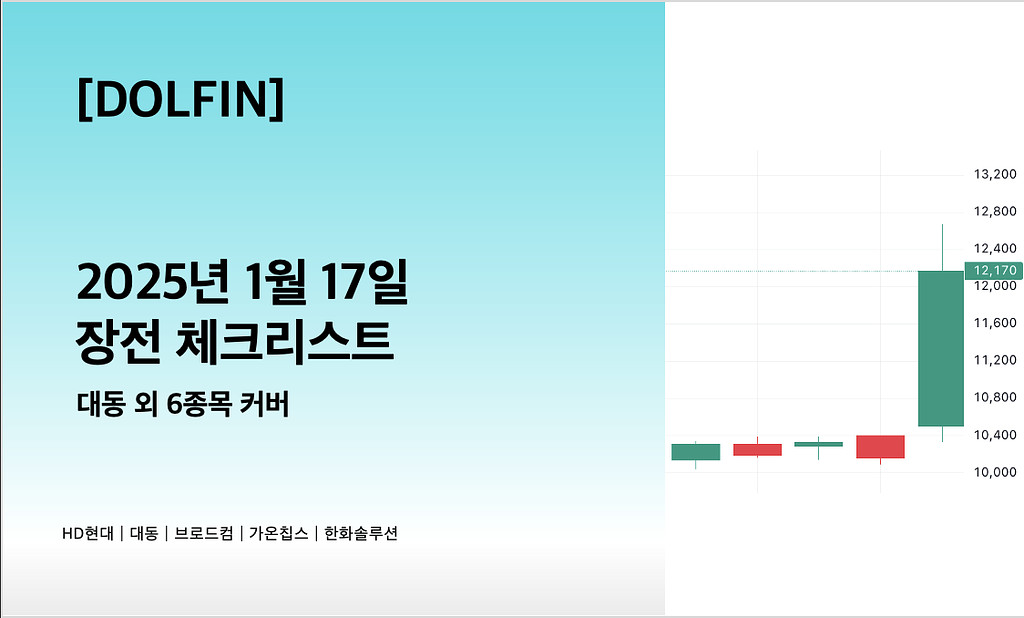 🐬[DOLFIN] 1월 17일 장전 체크리스트의 썸네일 이미지