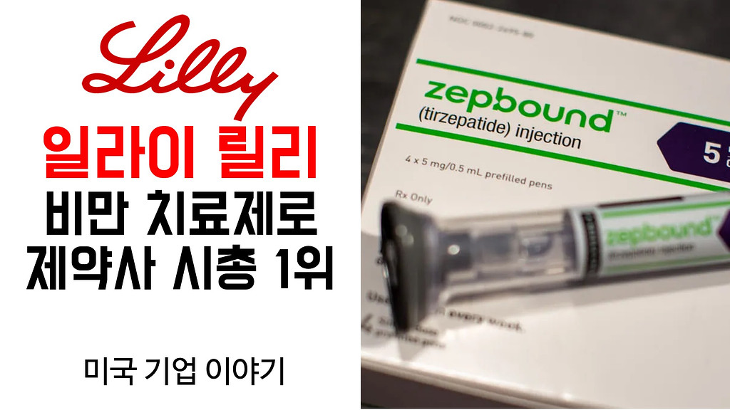  비만 치료제로 제약사 시총 1위 일라이 릴리는 뭐하는 회사? (2024. 1. 27.)의 썸네일 이미지