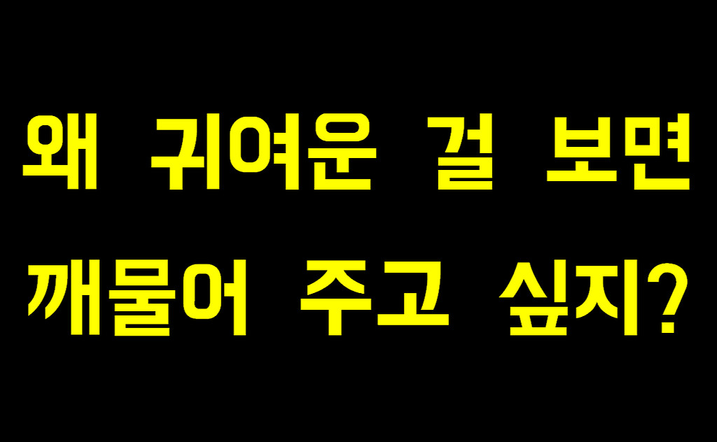 너무 귀여워ㅠㅠ 지구 뿌셔!!의 썸네일 이미지