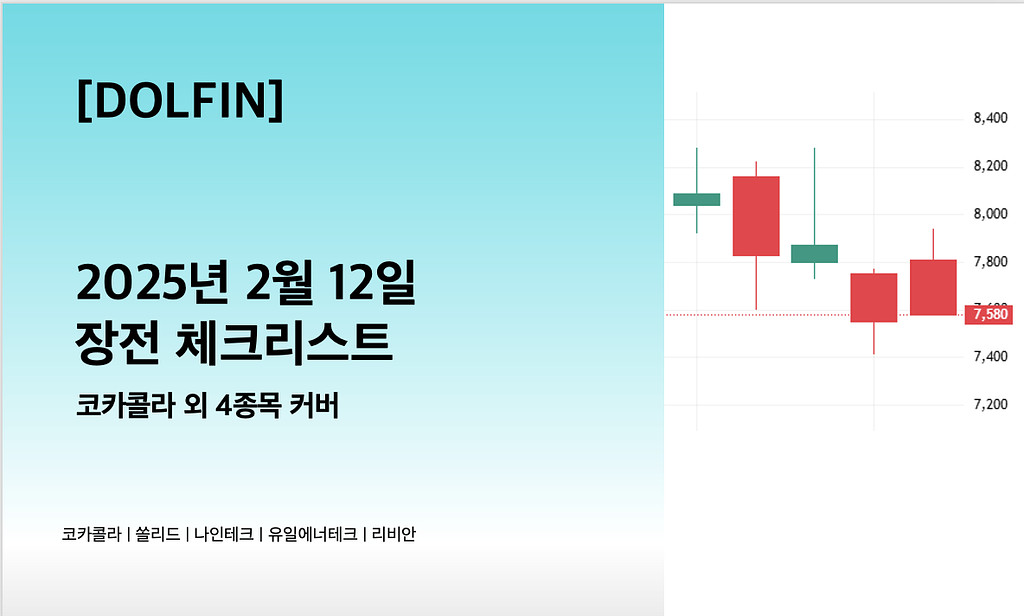 🐬[DOLFIN] 2월 12일 장전 체크리스트의 썸네일 이미지
