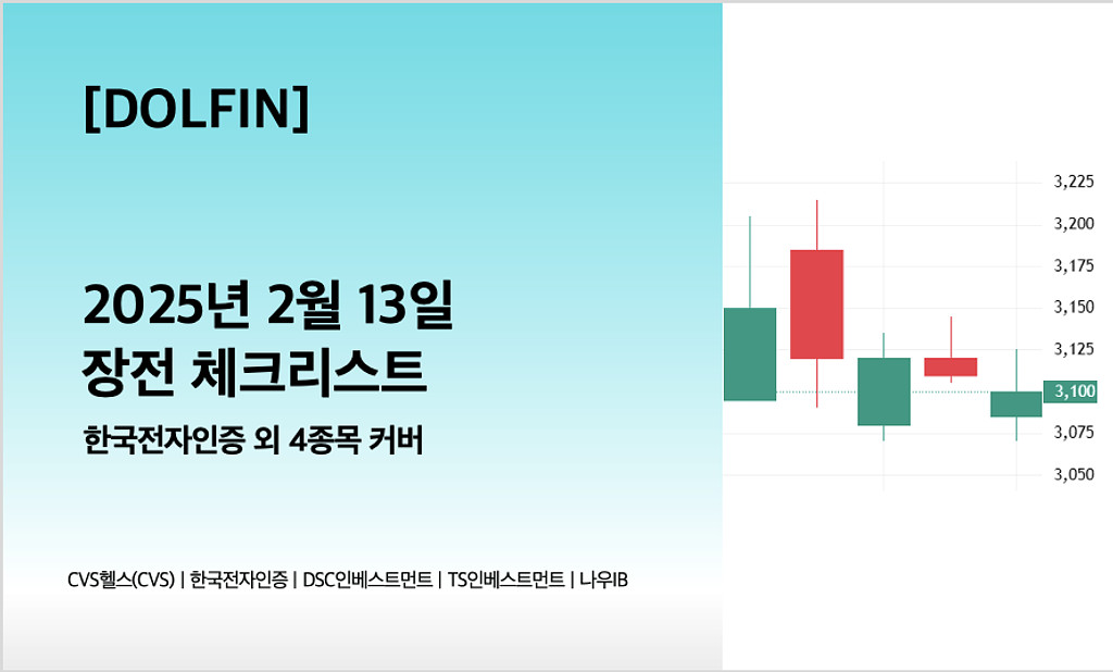 🐬[DOLFIN] 2월 13일 장전 체크리스트의 썸네일 이미지
