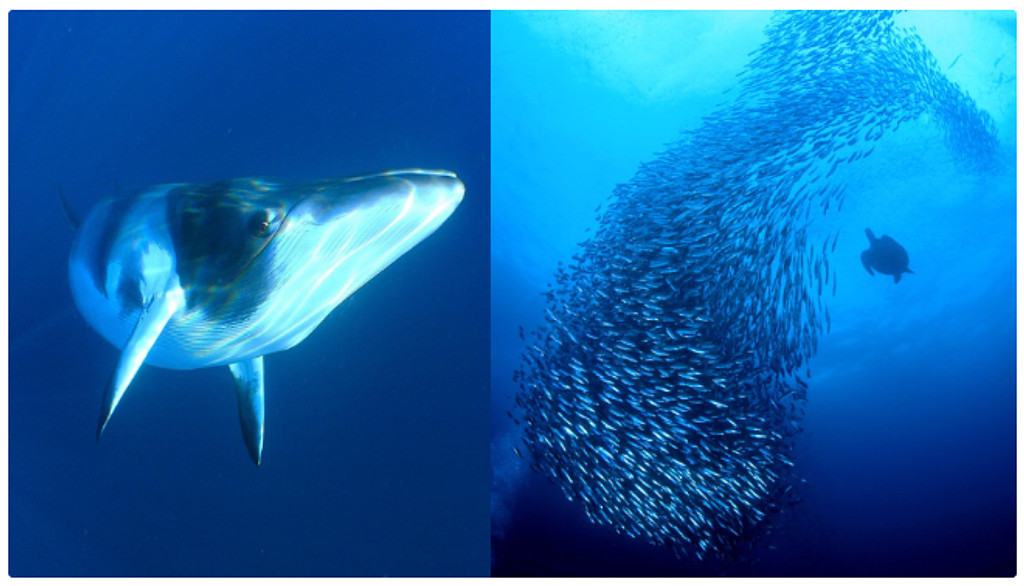 조직장 뉴스레터 4화의 썸네일 이미지