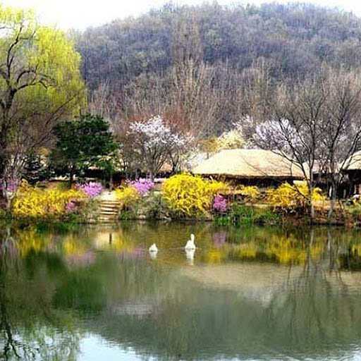 나이스의 프로필 이미지