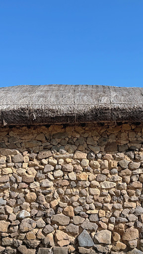 요들의 프로필 이미지