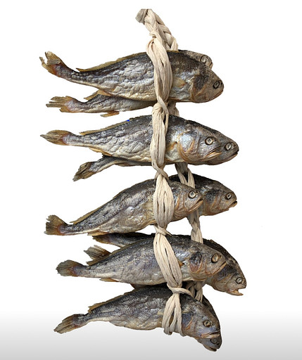 굴비선생의 프로필 이미지