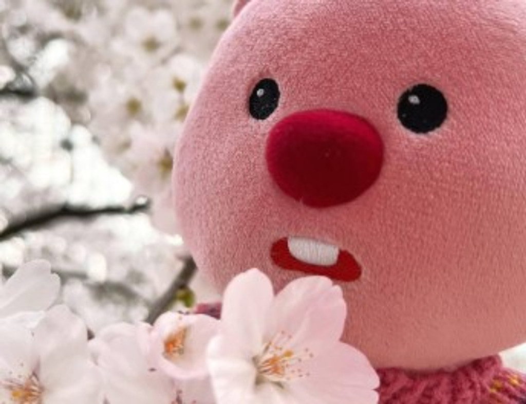 [🌳이팝조팝] #6 이번주에 꽃 진짜 예쁠 것 같아요 🌷의 썸네일 이미지