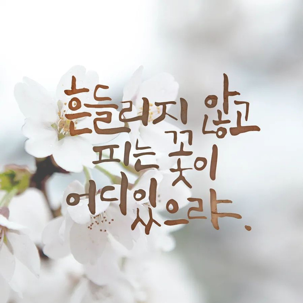 낭만에 대하여....승진에 대하여.....의 썸네일 이미지