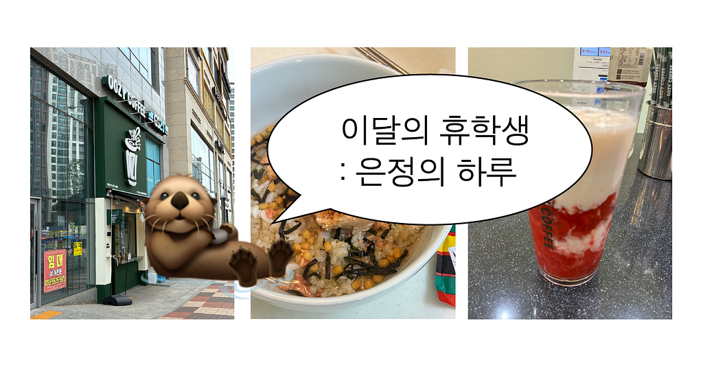 이달의 휴학생 : 은정의 하루🦦의 썸네일 이미지