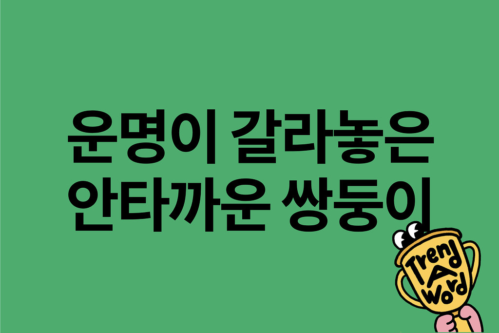 [Trend A Word #399] 운명이 갈라놓은 안타까운 쌍둥이의 썸네일 이미지