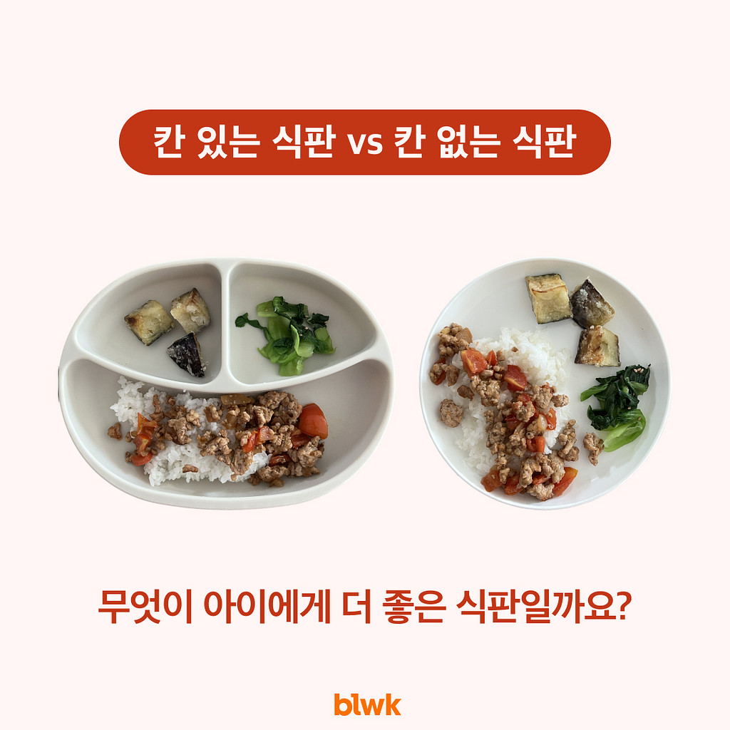 🧡 [블룩] 아이주도 고형식할 때 최고의 식판은?의 썸네일 이미지