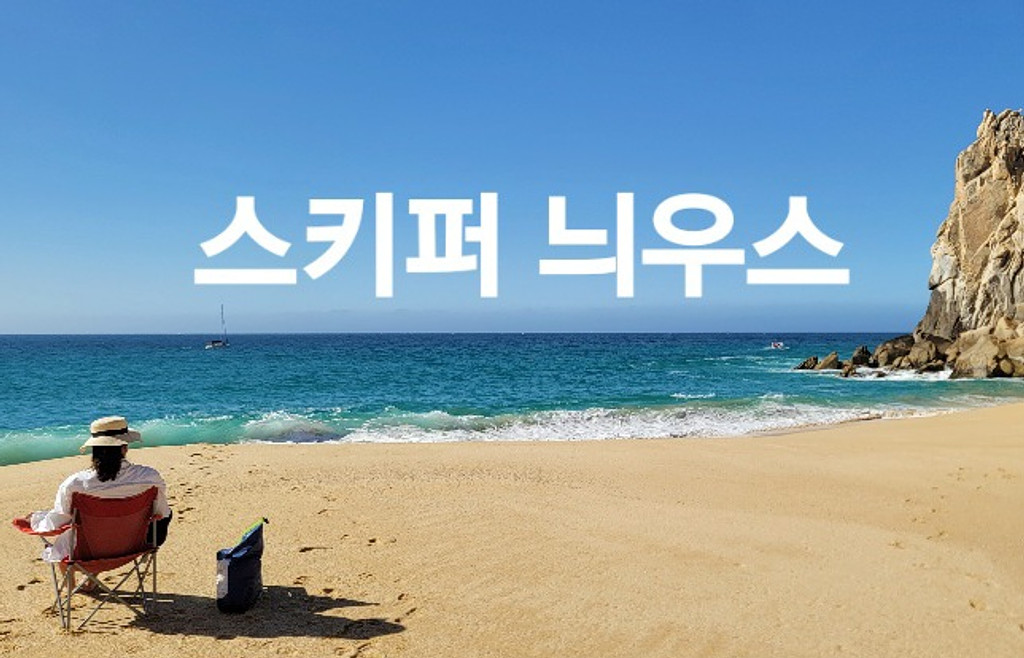 소식 몇 가지의 썸네일 이미지