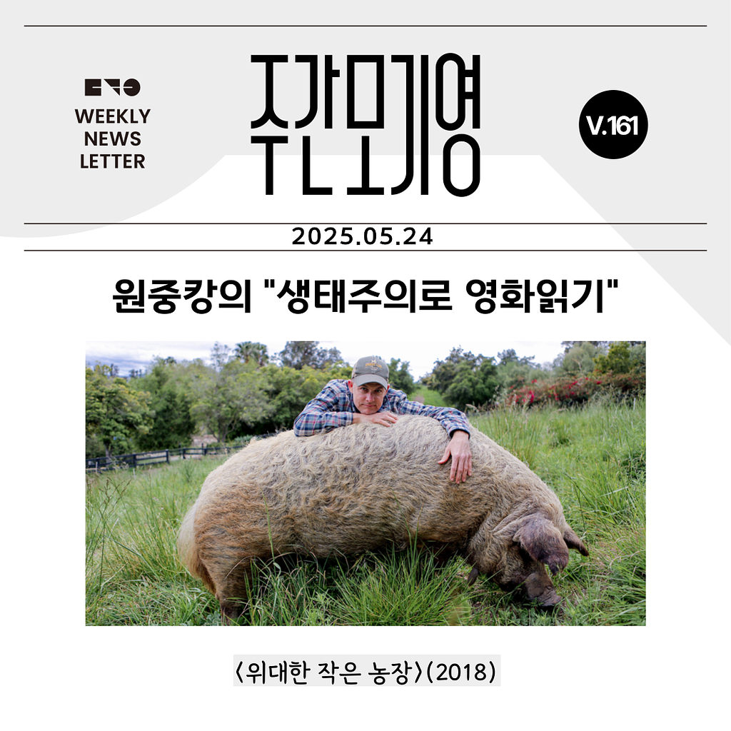 2025년 주간모기영 161호의 썸네일 이미지
