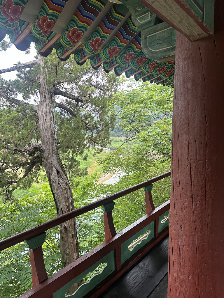 초여름 낭만에 진심인 사람들, 이번 연휴는 이 곳 어떠세요?🌿의 썸네일 이미지