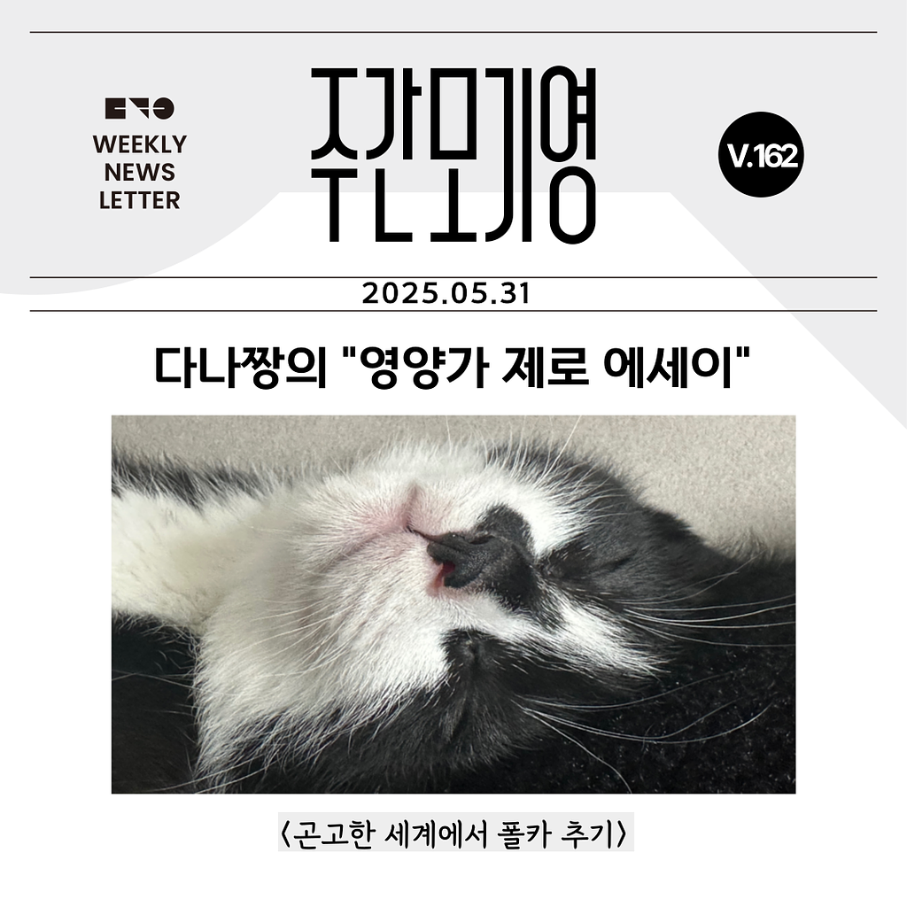 2025년 주간모기영 162호의 썸네일 이미지