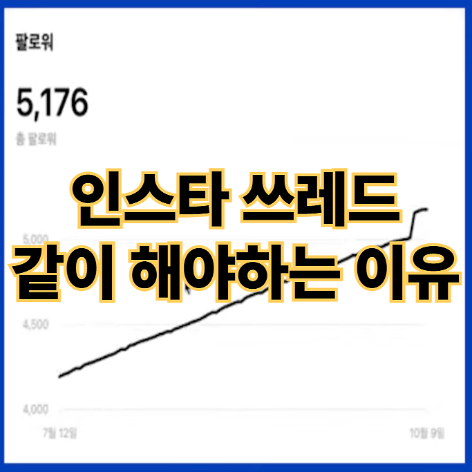 💰인스타 쓰레드 같이 해야하는 이유 & 🧾쓰레드 활용법의 썸네일 이미지