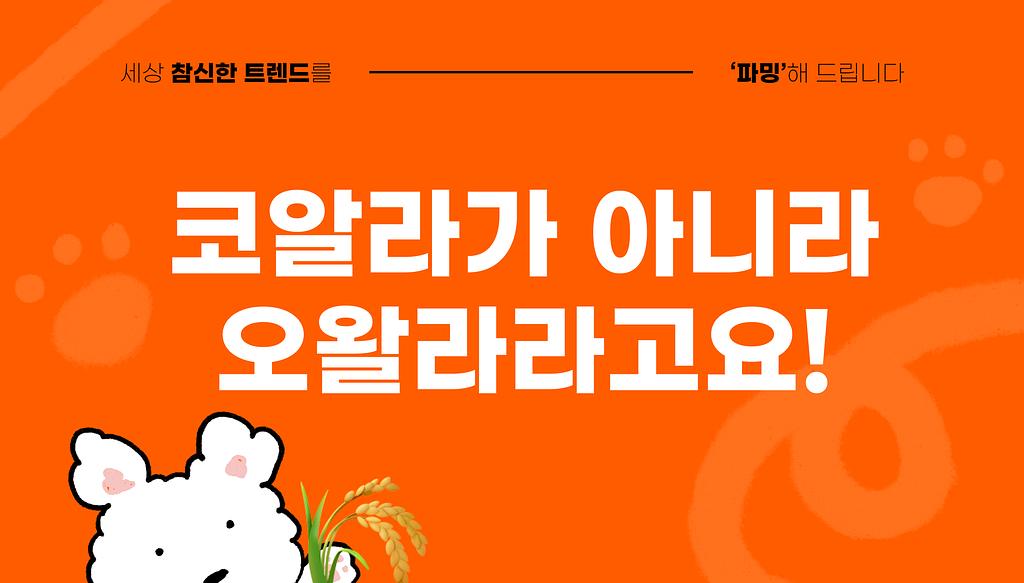 미국 MZ들에게 소문난 여름 텀블러의 썸네일 이미지
