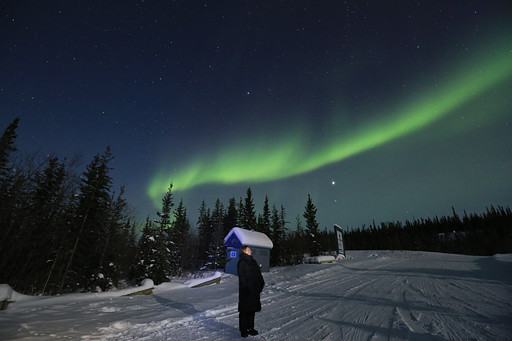 임클의 프로필 이미지